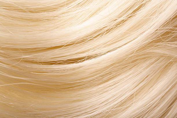 cabello humano - pelo rubio fotografías e imágenes de stock