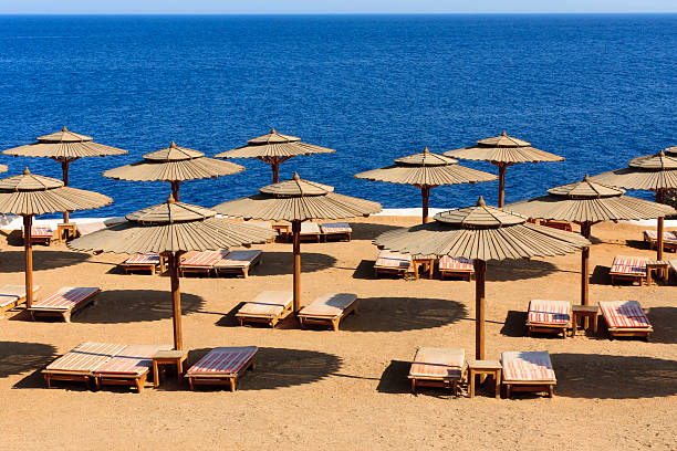 istock Umbrella on Red Sea 146911688