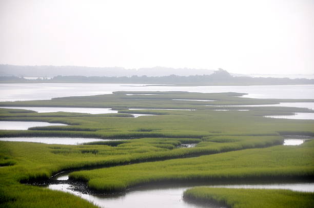 Inland Waterway Emerald Isle inland waterway taken on a foggy day. emerald isle north carolina stock pictures, royalty-free photos & images