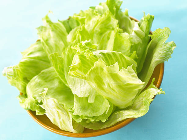 istock A bowl of fresh iceberg lettuce 146912560