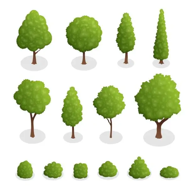 Vector illustration of Isometric set of park plants. 3d green trees and bushes of various shapes isolated on white background vector illustration.