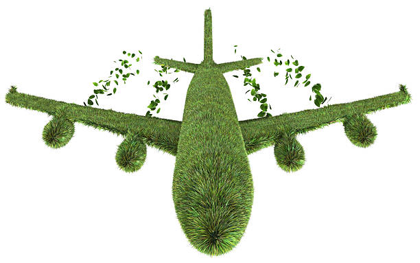 istock Ecological air travel concept 146912917