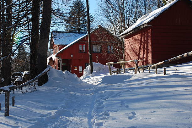 istock Mountain hostel in winter colours 146913069