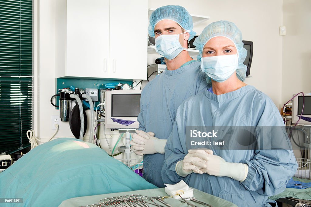 Vet хирургического вмешательства - Стоковые фото Больница роялти-фри