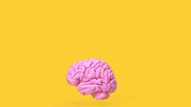 istock The pink brain on yellow background for creative or idea concept 3d rendering 1469134131