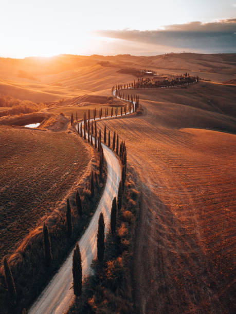 winding road in tuscany - winding road sunlight field cultivated land imagens e fotografias de stock