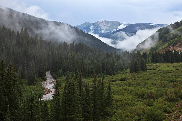 Mist over a mountain valley in Colorado stock photo