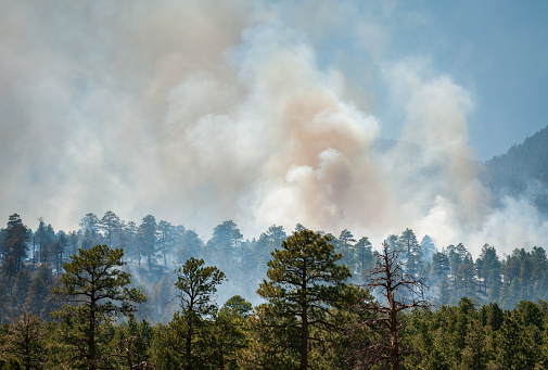 Fire at the San Francisco Peaks in Coconino National Forest