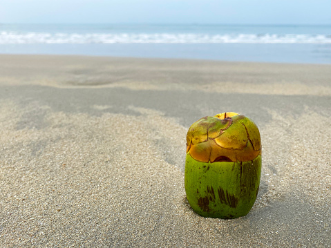 Stock photo of showing close-up of sandy beach at low tide with green, immature coconut washed up from polluted sea.
