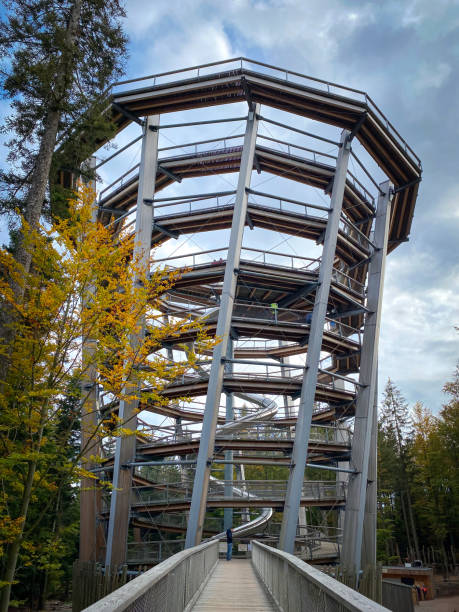 Bad Wildbad, Germany - October 13, 2020: People tourists walking on observation tower and treetop path (germ. Baumwipfelpfad) Black Forest (germ. Schwarzwald)