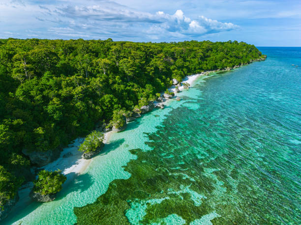 Drone shot of the magical shores of Siquijor Island, Philippines Siquijor Island is one of the many places in the Philippines with pristine clear water perfect for swimming and snorkeling. siquijor stock pictures, royalty-free photos & images