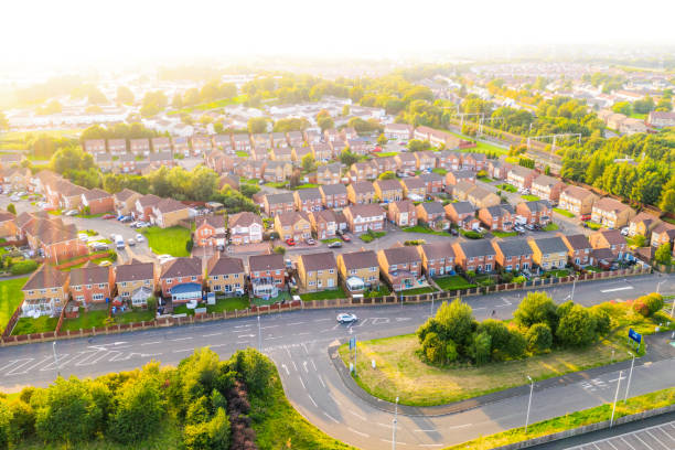istock Suburban housing development - aerial view 1469140579