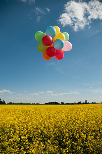 istock balloons on canola field 146914213