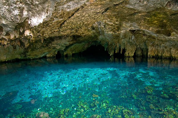 istock Cenote near Tulum, Mexico 146914515