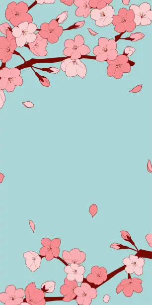 Vector illustration of Beautiful cherry blossom frame material