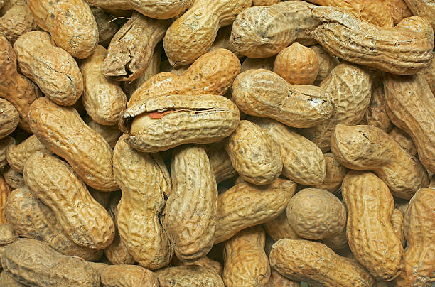 Peanuts stock photo