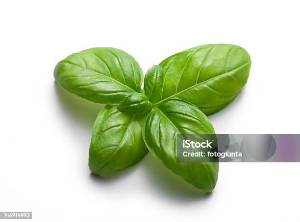 Basil Butterfly Stock Photo - Download Image Now - Basil, Leaf, White Background