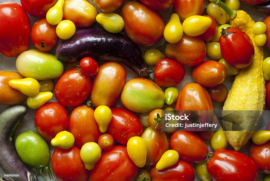 Squash, e colheita de Tomate e Beringela - Royalty-free Abóbora Foto de stock