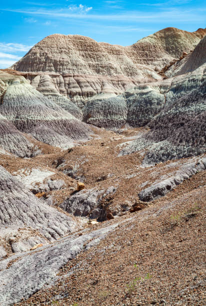 istock Rugged Painted Desert, Petrified Forest National Park 1469155460
