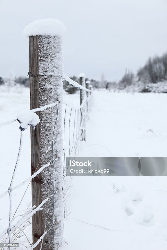 Parete in inverno - Foto stock royalty-free di Agricoltura