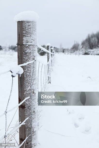 Parete In Inverno - Fotografie stock e altre immagini di Agricoltura - Agricoltura, Albero, Ambientazione esterna