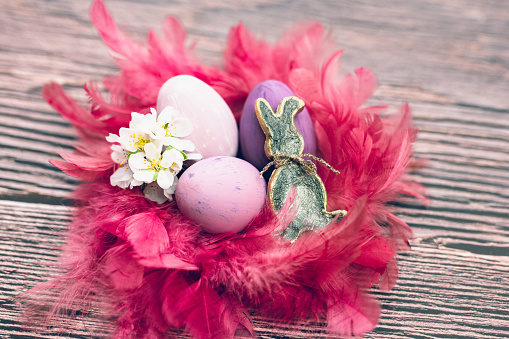 Close up of a still life of different purple Easter eggs in a pink feather nest with almond blossoms and a metallic colored Easter bunny shape on a rustic wooden background. Color editing with added grain. Very selective and soft focus. Part of a series.