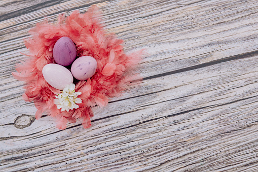 Soft flat lay different purple Easter eggs in an orange red pink feather nest with almond blossoms on a rustic wooden background. Color editing with added grain. Very selective and soft focus. Part of a series.