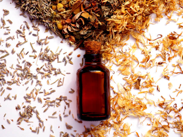 istock Bottle of essential oil with  dried herbs on a white background 1469164821