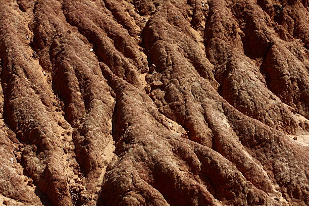 istock background of red soil 146916570