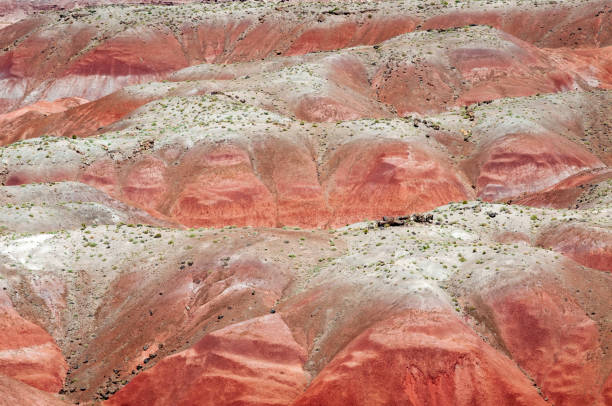 istock Red Mounds at Petrified Forest National Park 1469166575