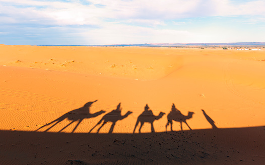 Shadows on the sand in Sahara desert in Merzouga, Morocco. Camel caravan on the desert in Africa. Tourist excursion camel riding.