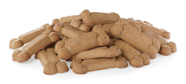 istock Bone shaped dog cookies on white background 1469169360