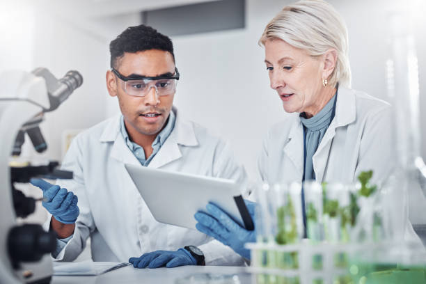 istock Teamwork, plant science and doctors with tablet for research. Collaboration, sustainability and scientists, man and old woman with touchscreen for gmo, experiment and researching botany in laboratory 1469171013