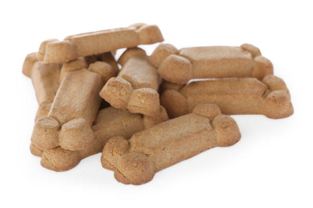 istock Bone shaped dog cookies on white background 1469171547