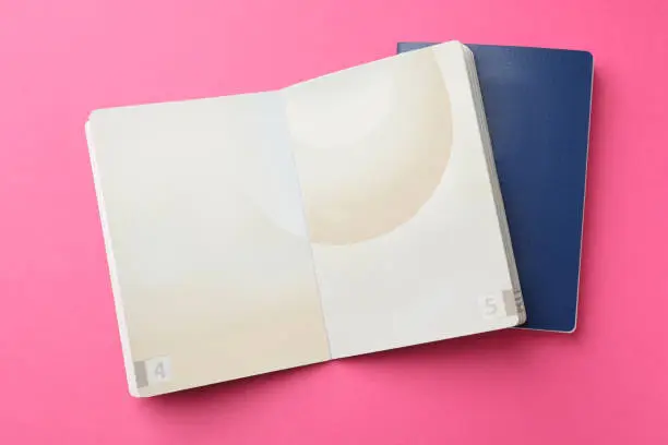 Blank passports on pink background, flat lay