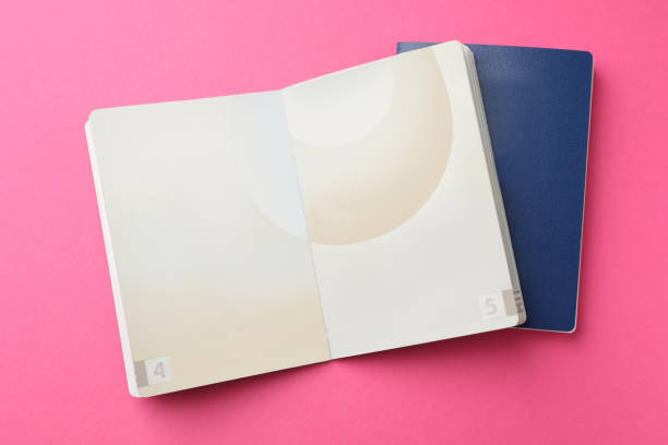 blank passports on pink background, flat lay - passaporte imagens e fotografias de stock