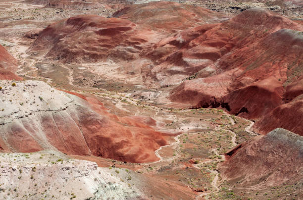 istock Red Earth at Petrified Forest National Park 1469171970