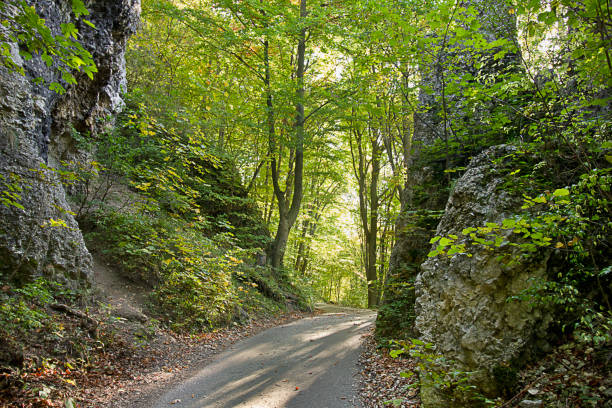 istock landscape with rock and road 1469173792