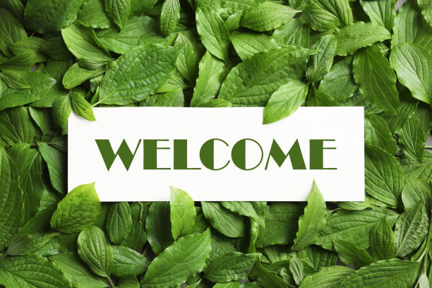 istock Card with word WELCOME on green leaves, top view 1469177018