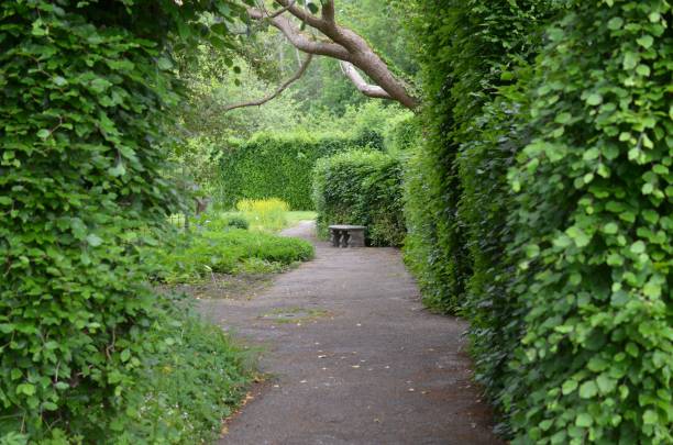 istock Beautiful view of park with different plants and asphalt path 1469178841