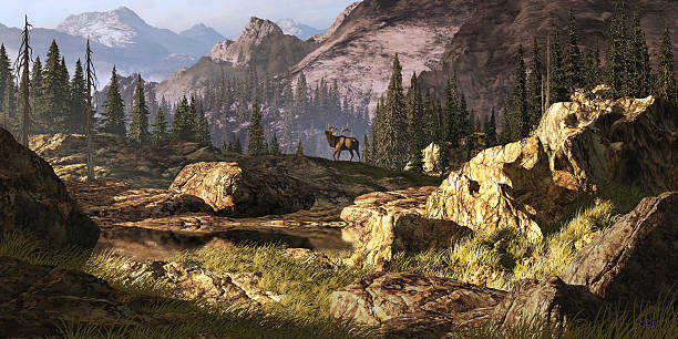 Elk In The Rocky Mountains Elk near a stream in a Rocky Mountain landscape. Original illustrative composition, created by me using Vue 3D software. bull pine stock pictures, royalty-free photos & images