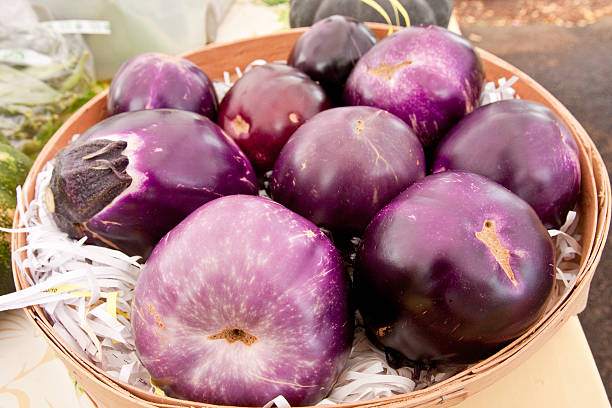 Egg Plant Egg Plant of Maui, HI hana coast stock pictures, royalty-free photos & images