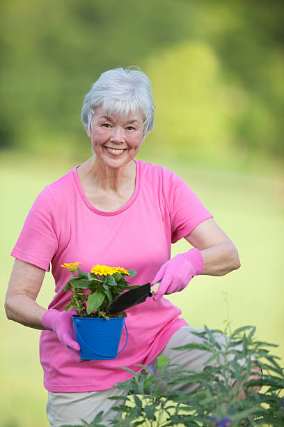 senior adulto de jardinagem - planting clothing gray hair human age - fotografias e filmes do acervo