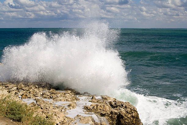 Storm. Waves and sea foam stock photo