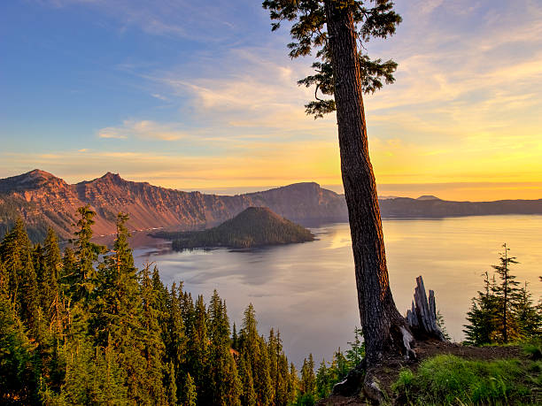istock Pine at sunrise above Crater Lake 146919092