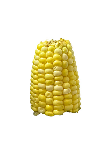 Corn on the cob isolated on. White background