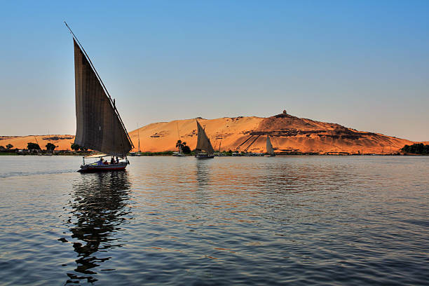 felucca лодки яхты - felucca boat стоковые фото и изображения