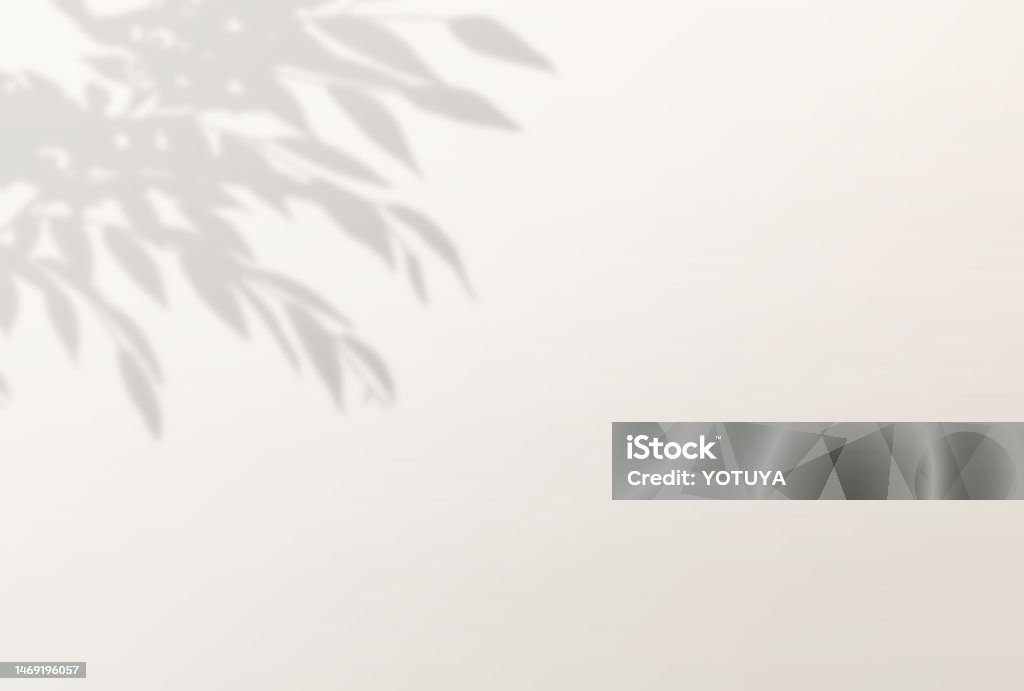 Tree Shadow Background Sharp Beautiful Tree Shadow Background Illustration Stock Illustration ...