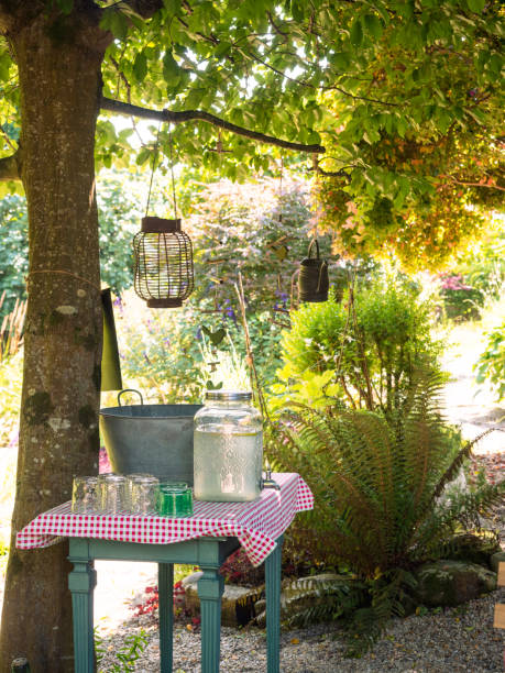 istock Table in a garden with pitcher of lemonade and glasses. Objects as ornament hanging from trees and out of focus background of greenery. Concept of refreshing and relaxing outdoors. 1469200167