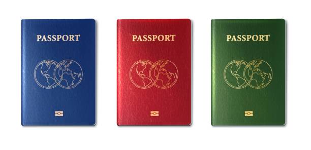 ilustraciones, imágenes clip art, dibujos animados e iconos de stock de colección vectorial realista de pasaportes, verde, rojo y azul. - passport computer graphic digitally generated image white background